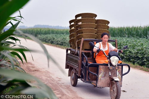 河北肥鄉(xiāng) 藤椅編制助農(nóng)增收