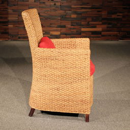 品牌 生產(chǎn)供應(yīng)商廠家 今日行情價(jià)格走勢(shì) 優(yōu)艾麗珊家具制品廠